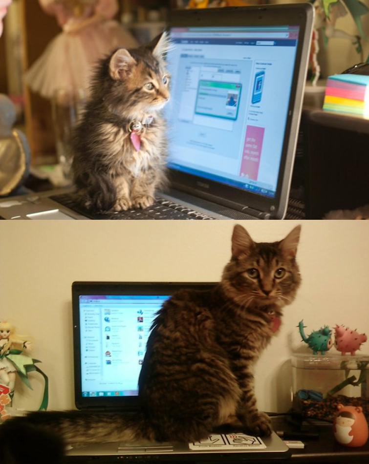 Foto: Reddit/boothin