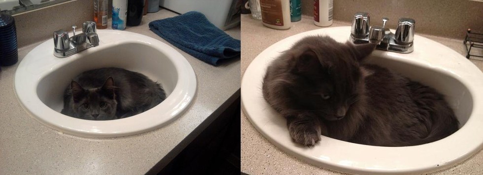 Foto: Reddit/exitthewarrior