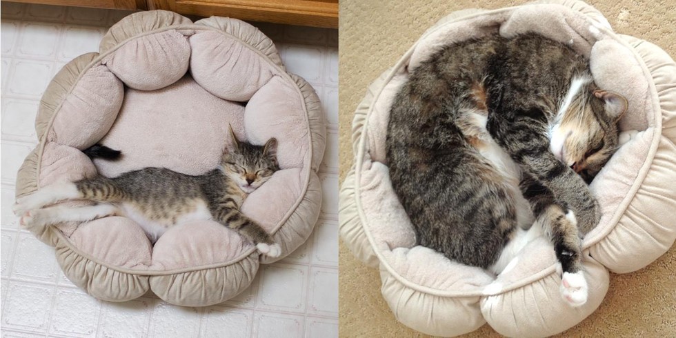 Foto: Reddit/_sch