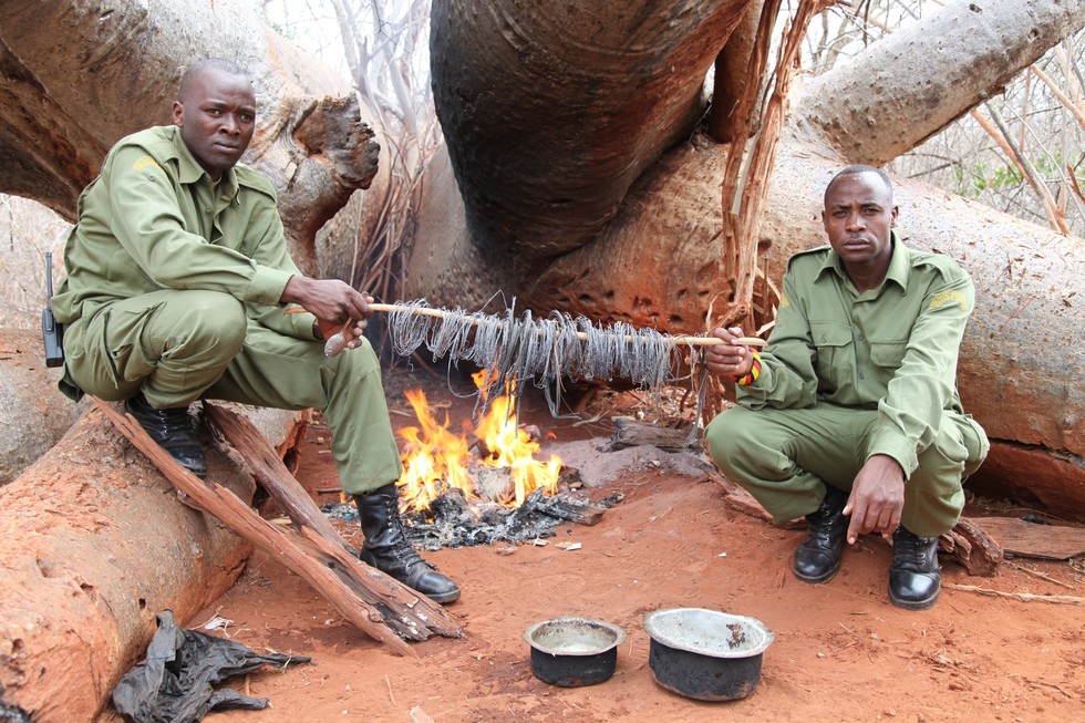 Guardas do KWS exibem armadilhas postas para capturar animais, que foram apreendidas. Foto: David Shedrick Wildlife Trust