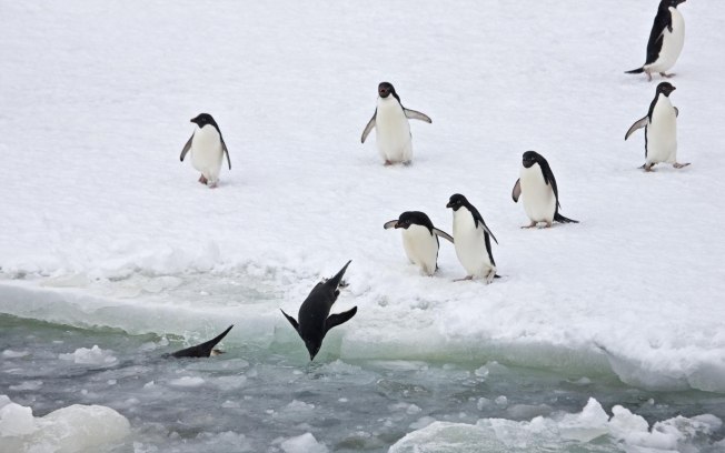 Foto: Getty Images