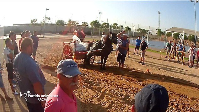 Homem bate em cavalo em frente a expectadores