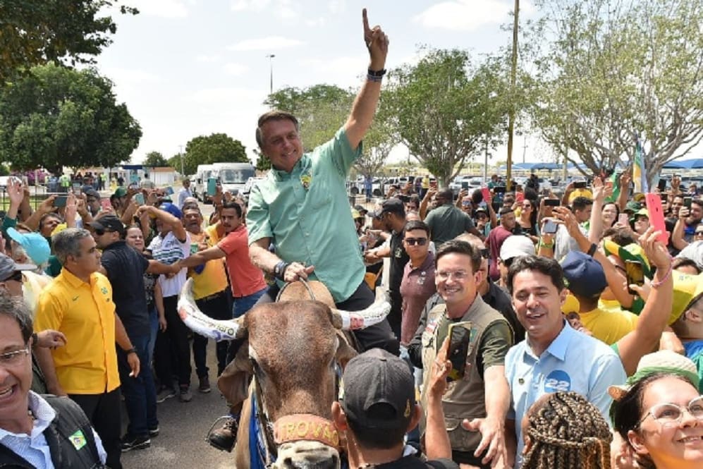 Cidade da Espanha substitui animais por bolas de isopor na corrida de touros