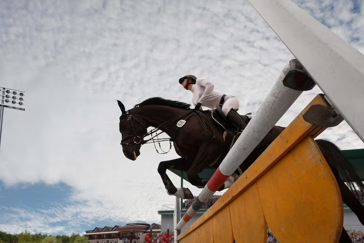 Após denúncia de maus-tratos, cavalo é encontrado com patas quebradas e  morre em MG, Grande Minas