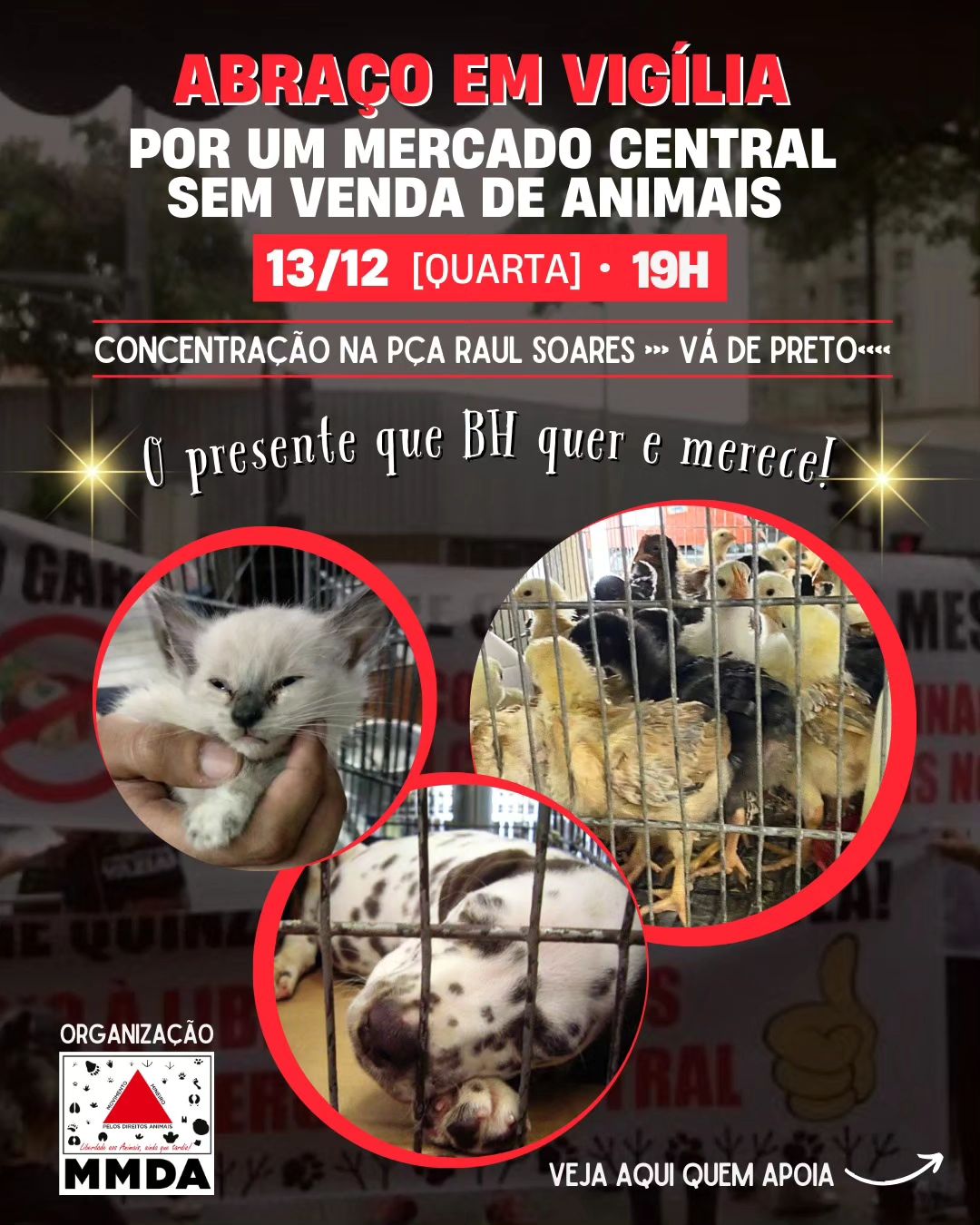 Baleia é vista presa a rede de anzóis e grupo ajuda animal a se soltar, em  Fortaleza; vídeo, Ceará